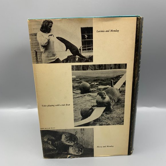 The Rocks Remain (The Sequel to Ring of Bright Water) by Gavin Maxwell - Picture 3 of 7